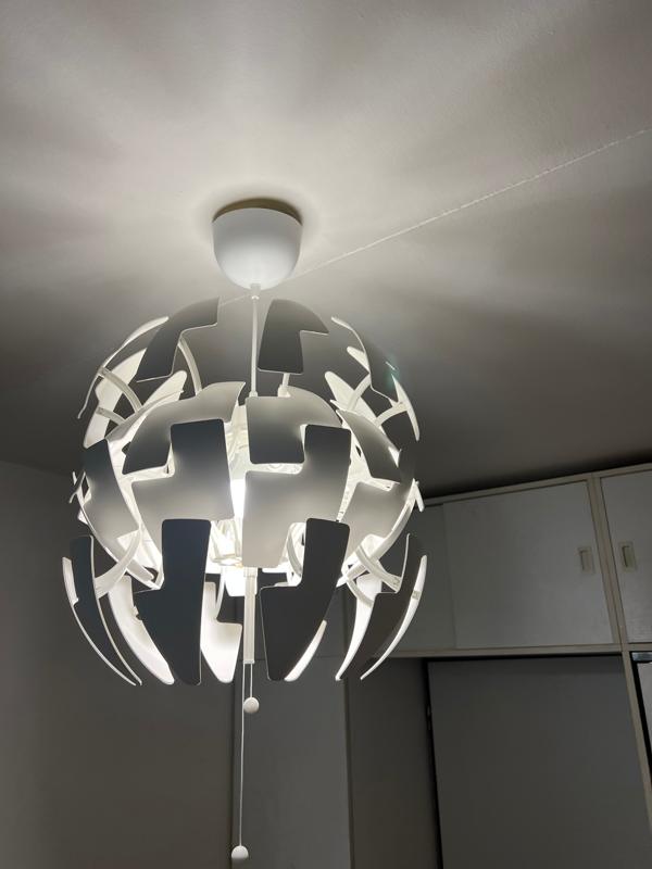 Designer pendant lamp