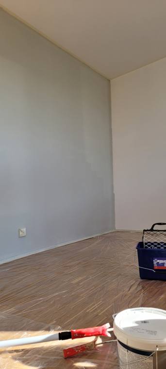 Grey accent wall